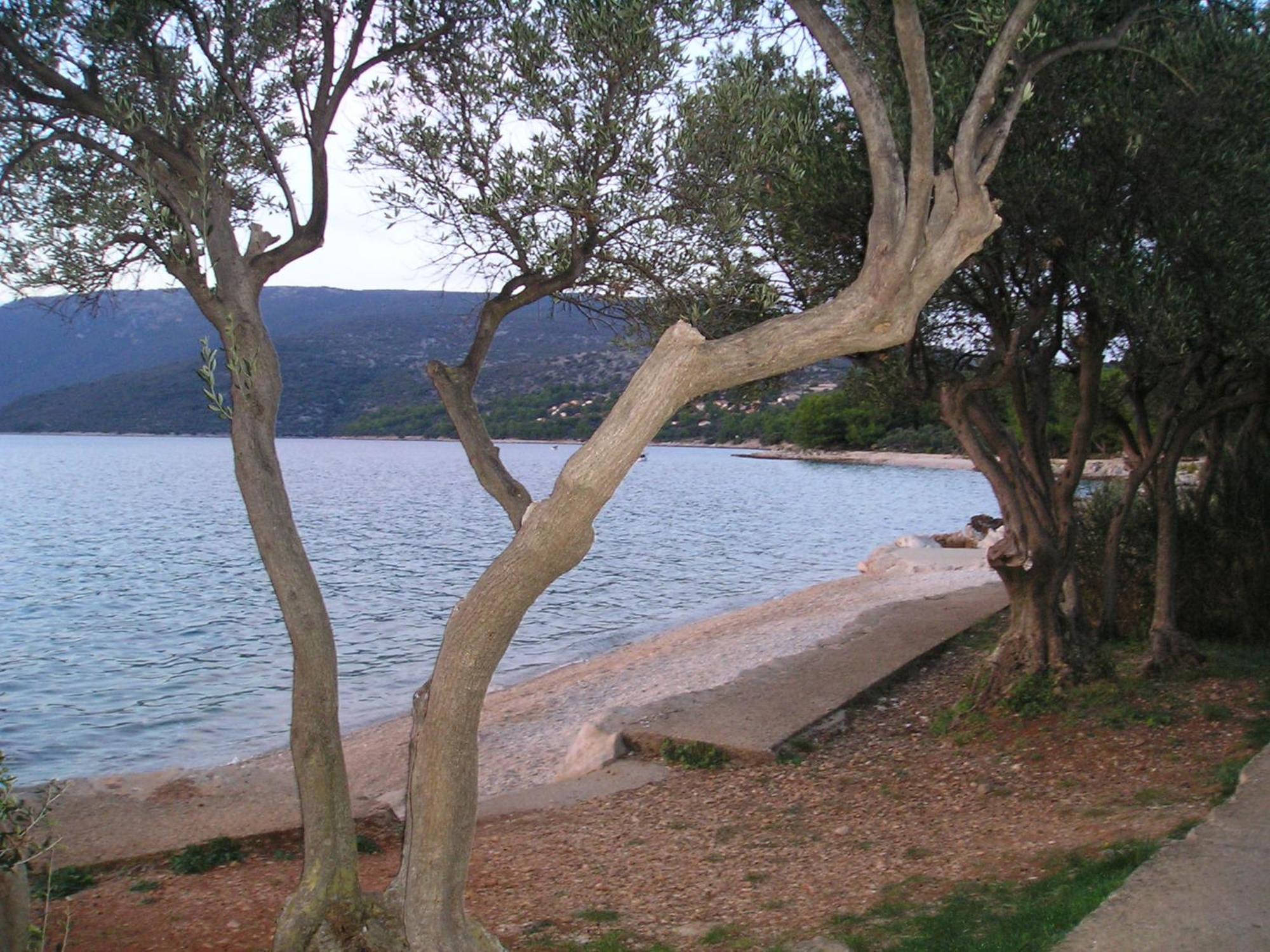 Apartmani Vitkovic II קרס מראה חיצוני תמונה