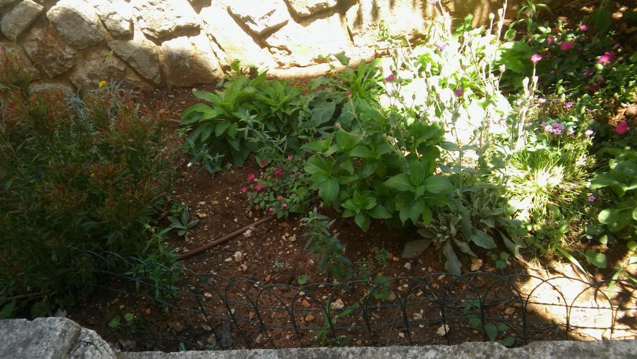 Apartmani Vitkovic II קרס מראה חיצוני תמונה