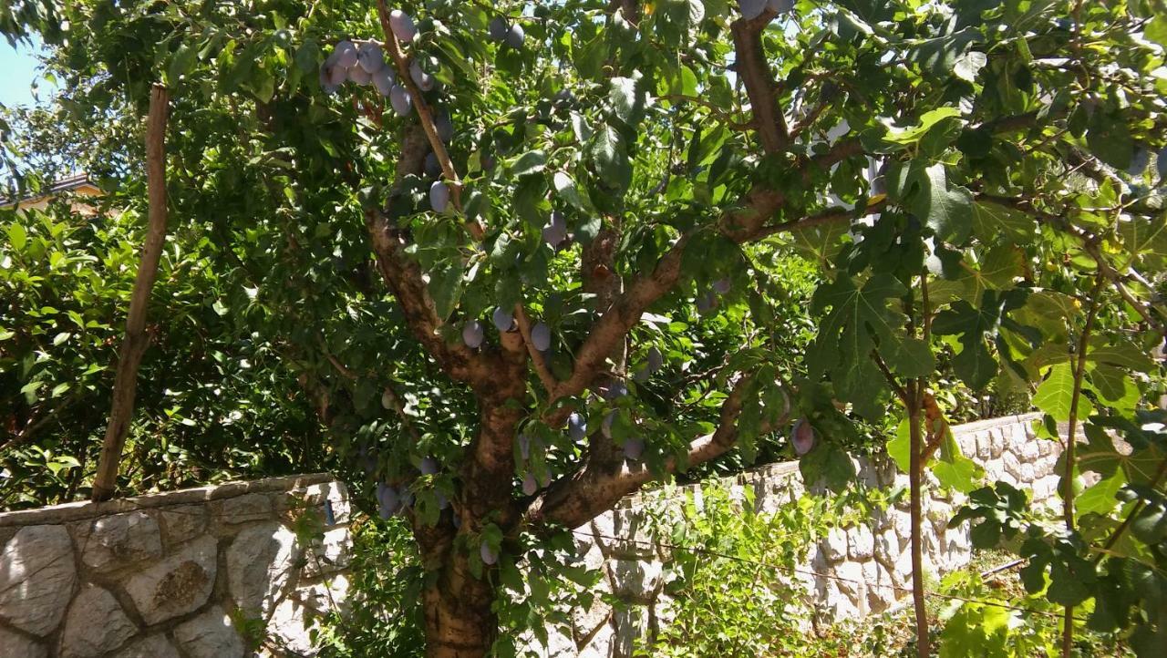 Apartmani Vitkovic II קרס מראה חיצוני תמונה